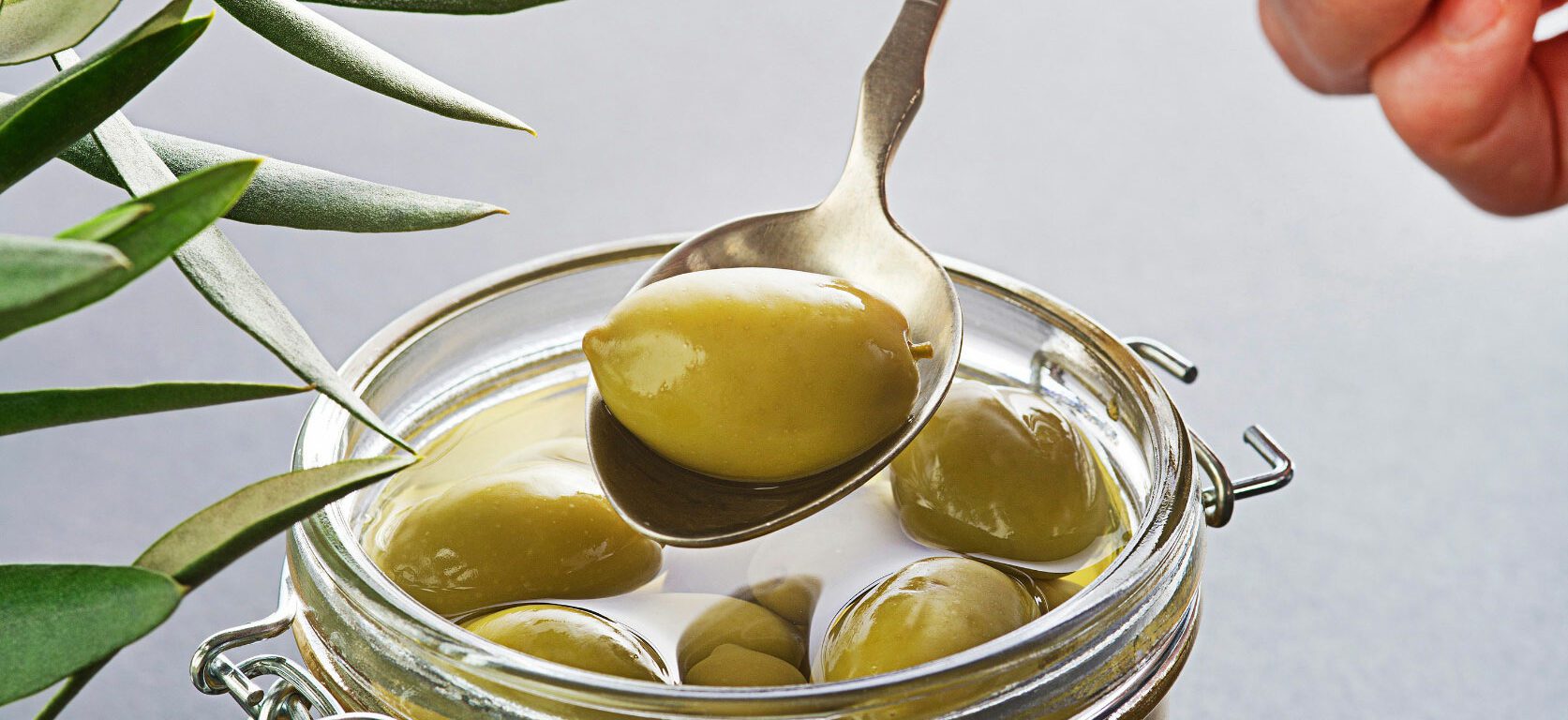 Olives en saumure