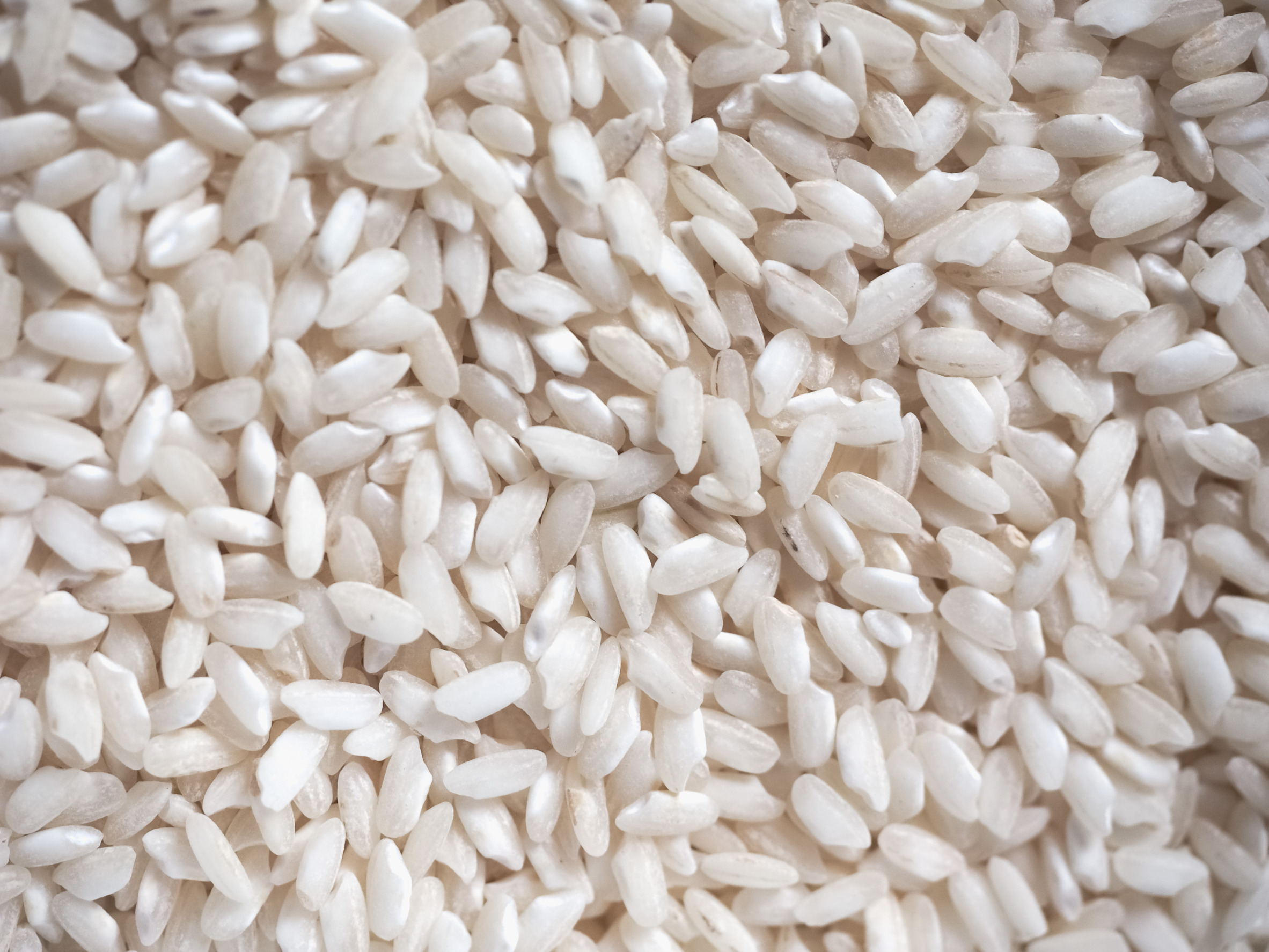 Le riz Carnaroli classico